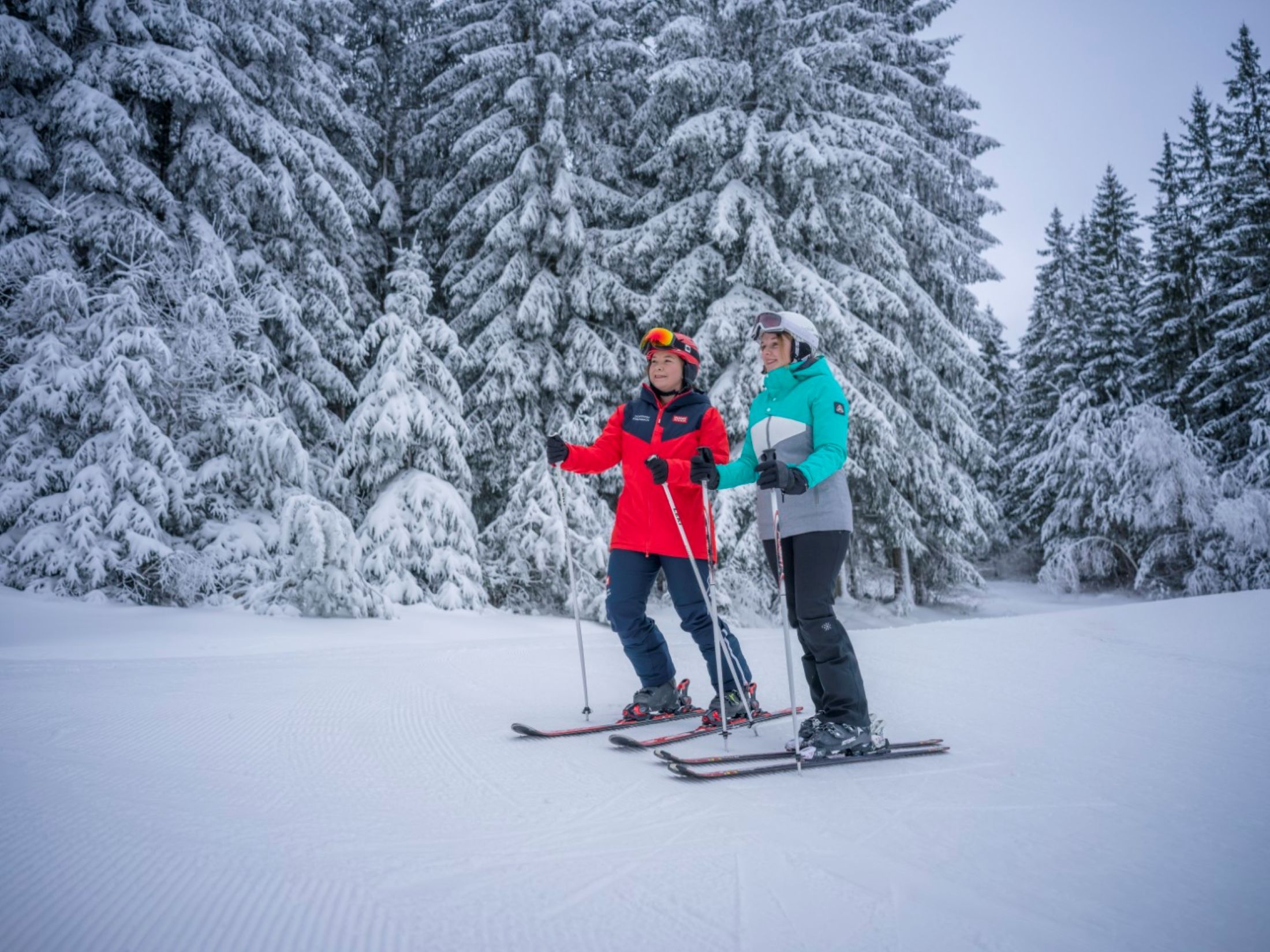 Two skiers stand on a snow-covered slope in front of snow-covered trees.