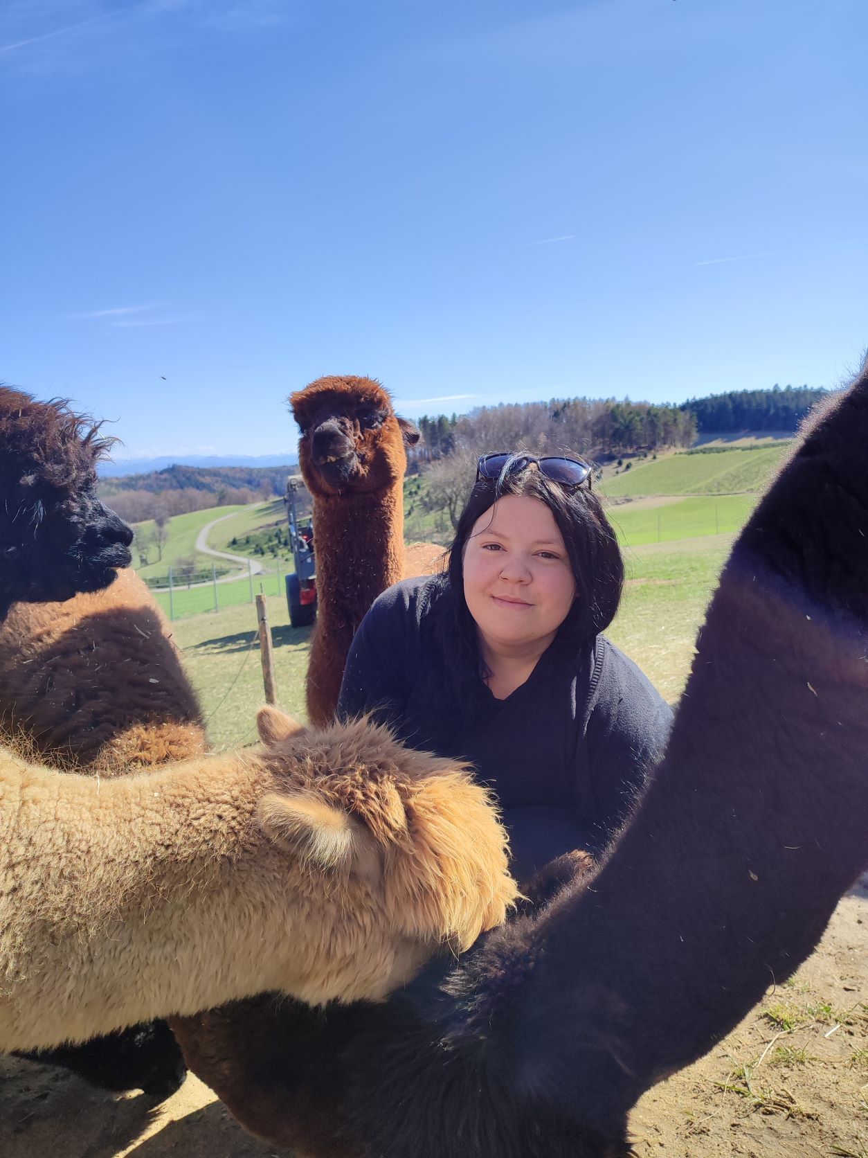 Tini with her alpacas