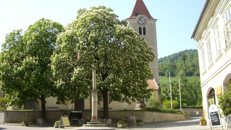 Rossatz parish church with church tower and blossoming trees in the foreground.