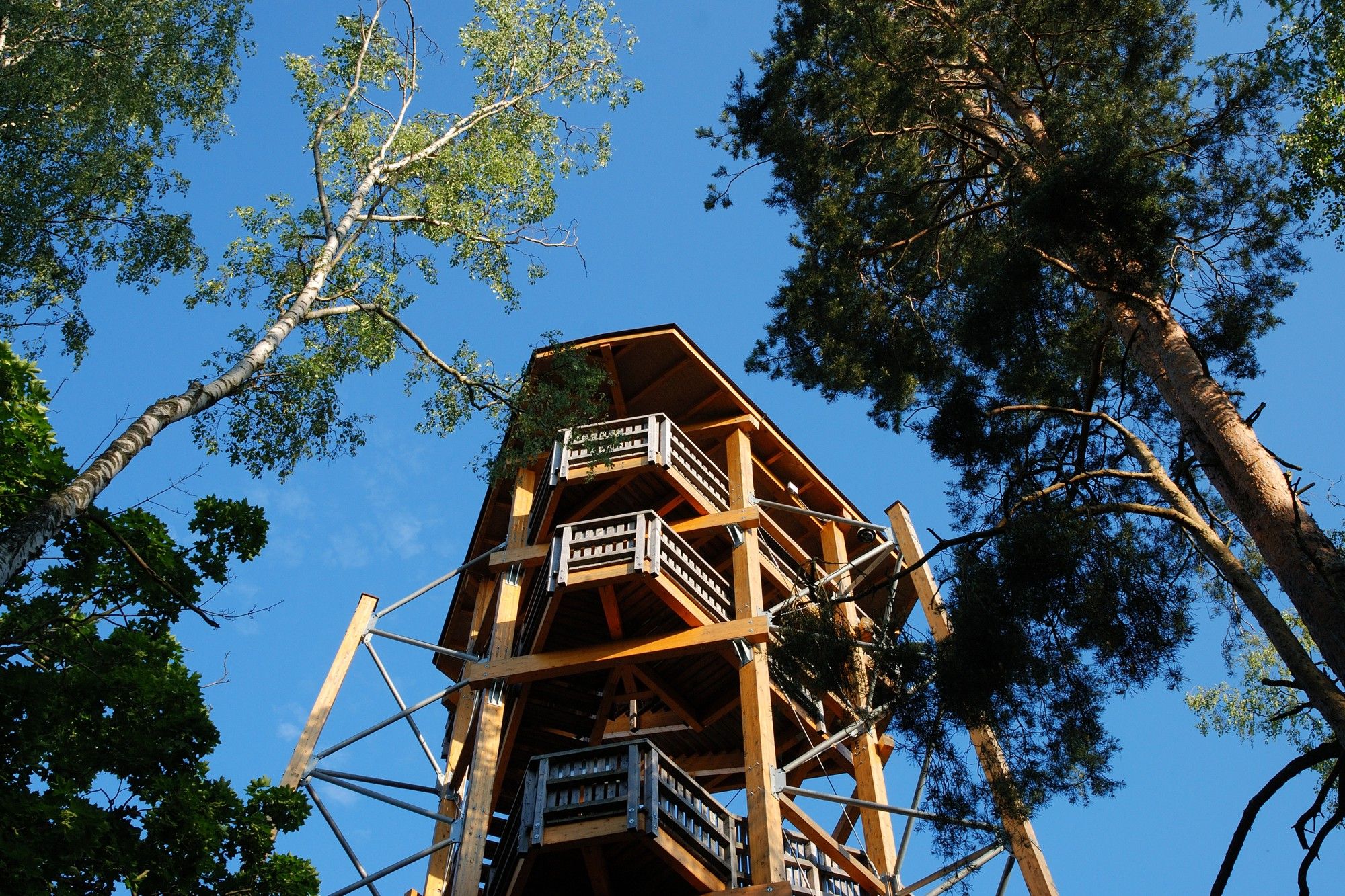 Wooden lookout tower in a forest, surrounded by tall trees, under a blue sky.