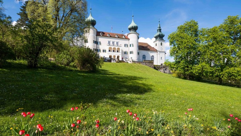 Artstetten Castle with green meadow and flowers in the foreground.