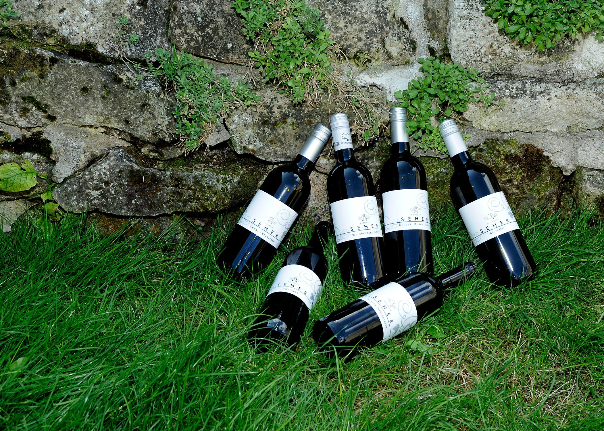 Six wine bottles on grass in front of a stone wall.