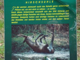 Mariahilfberg-Spange, &copy; Karen Jesserer