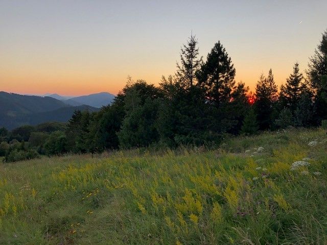 Sunset behind trees and meadows on the Kieneck.