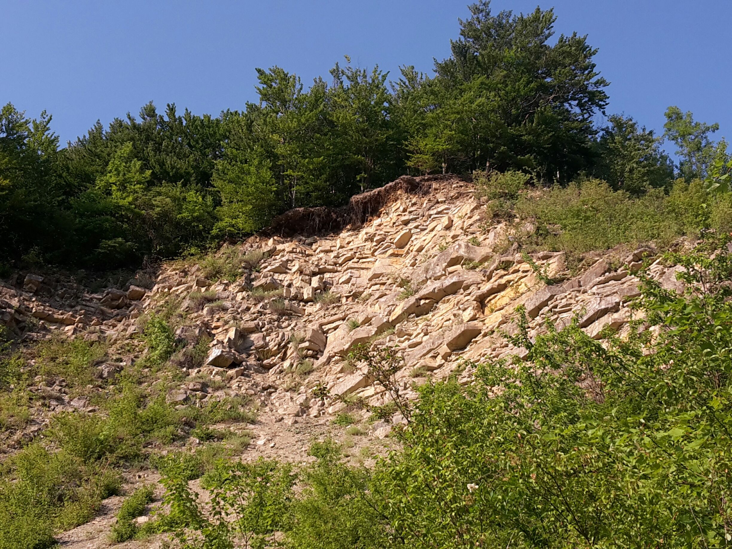 The natural backdrop in the Dambach quarry