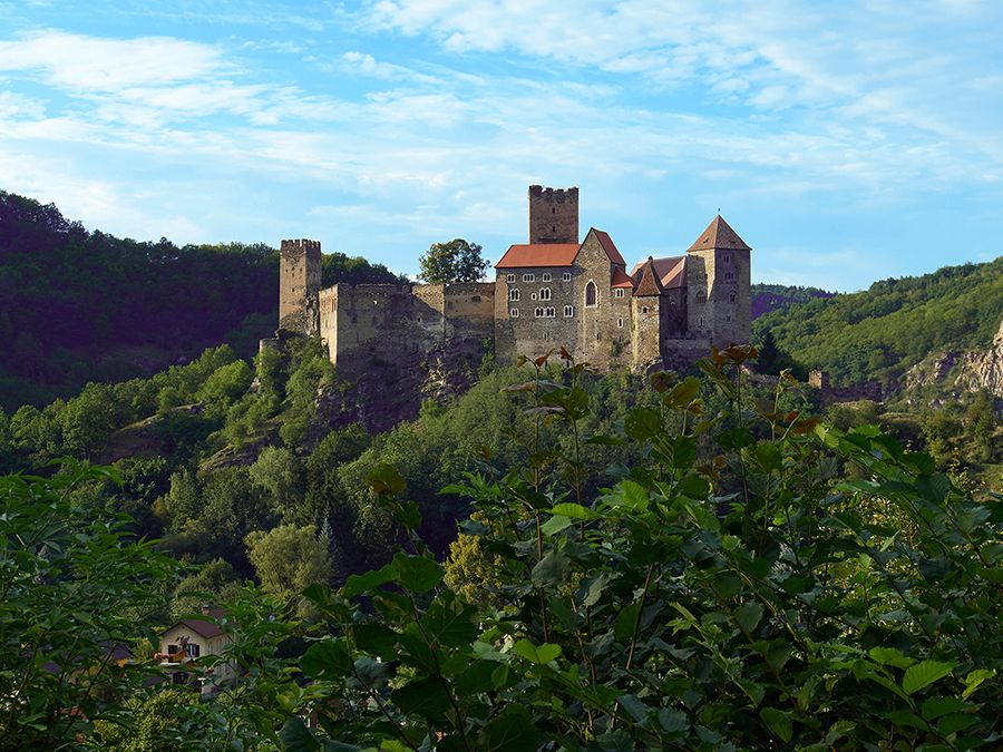 Hardegg Castle on a wooded hill with a blue sky in the background.