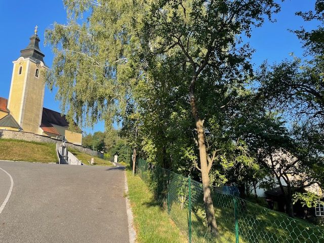 View from the road to Messern 43