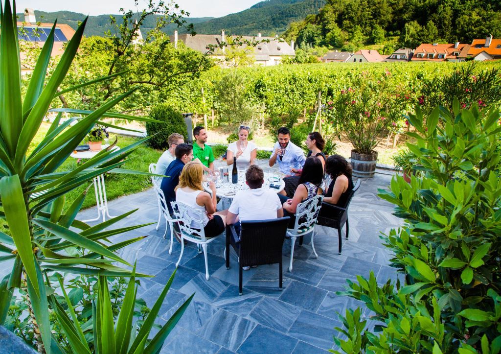 Group of people at an outdoor wine tasting surrounded by vineyards.