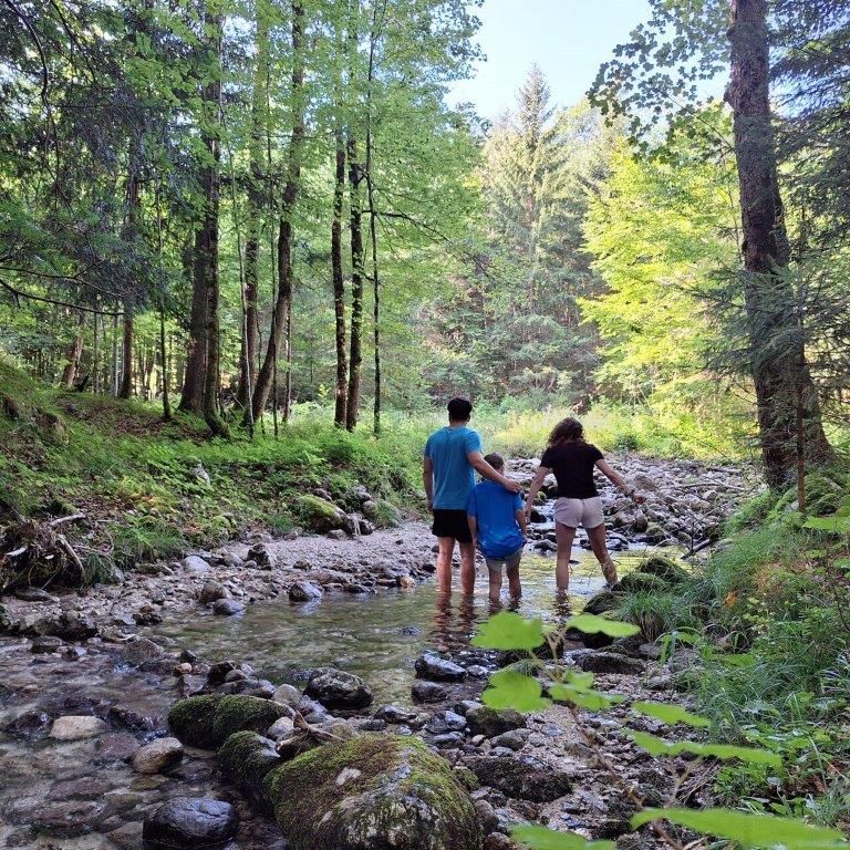 Forest bathing