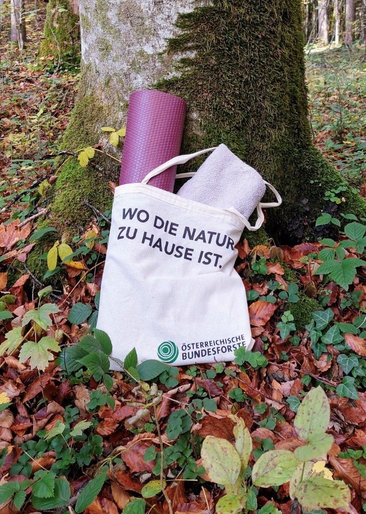 Forest bathing