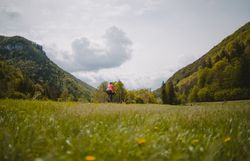 Traisental cycle route, cycling, cycling, about five kilometers before St. Pölten, Mostviertel