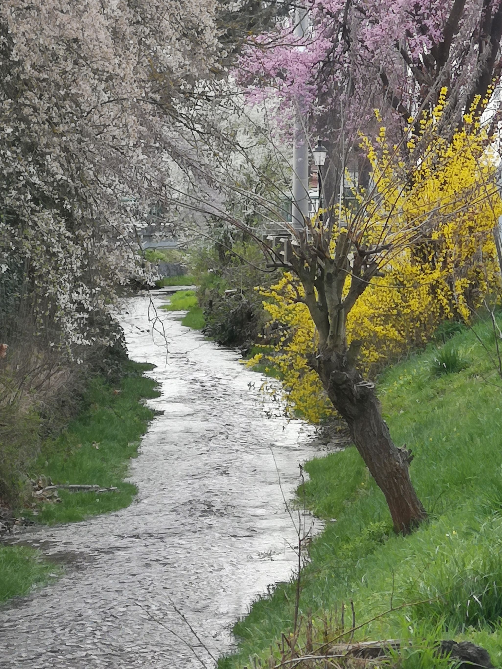 At the Gschinzbach