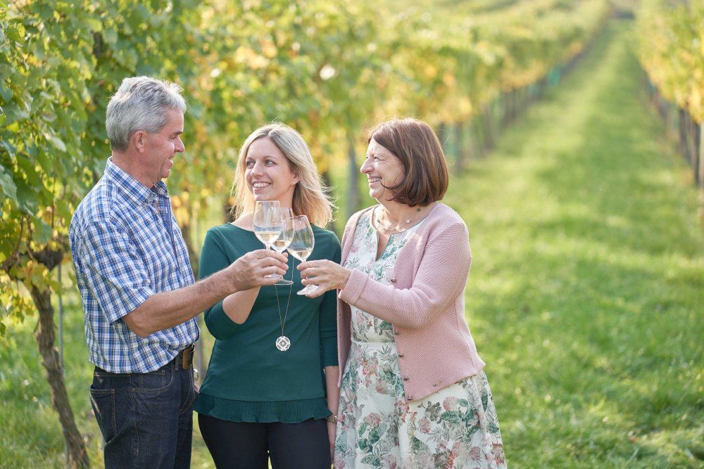 Three people clink glasses in a vineyard.