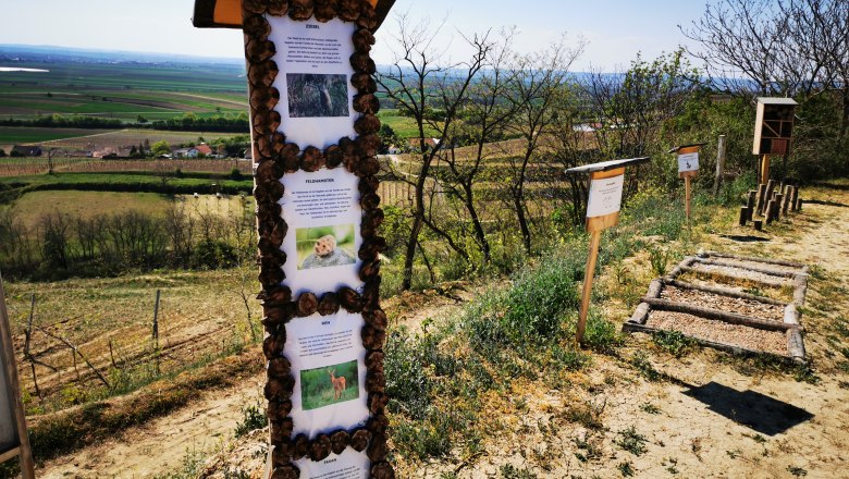 Educational trail with information boards in a rural landscape.