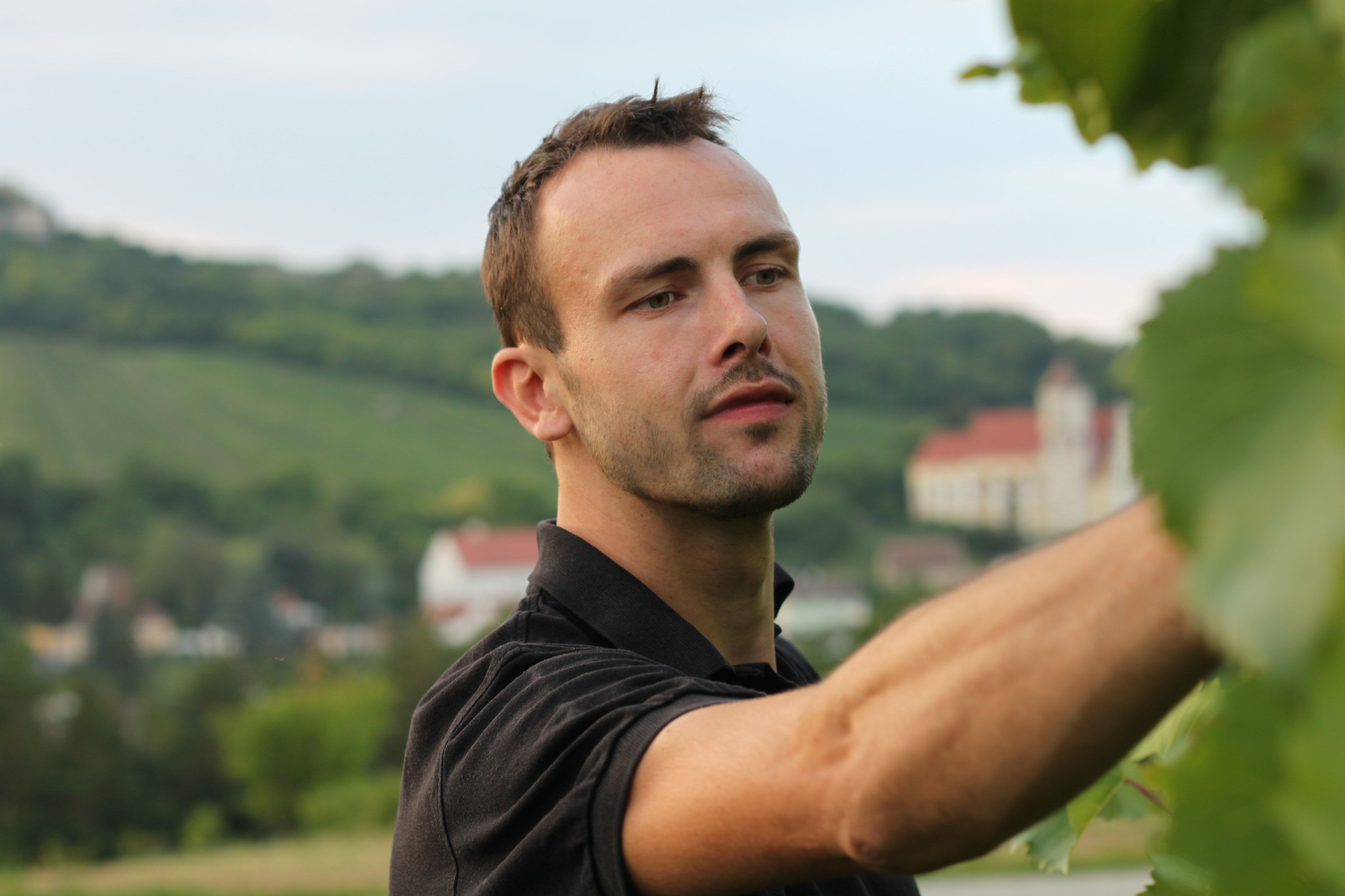 A man in a vineyard inspecting grapes, with a picturesque landscape in the background.