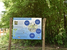 Erlebnis Teich H&ouml;rersdorf, &copy; Karl Stubenvoll