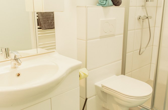 Modern bathroom with shower, washbasin and toilet.