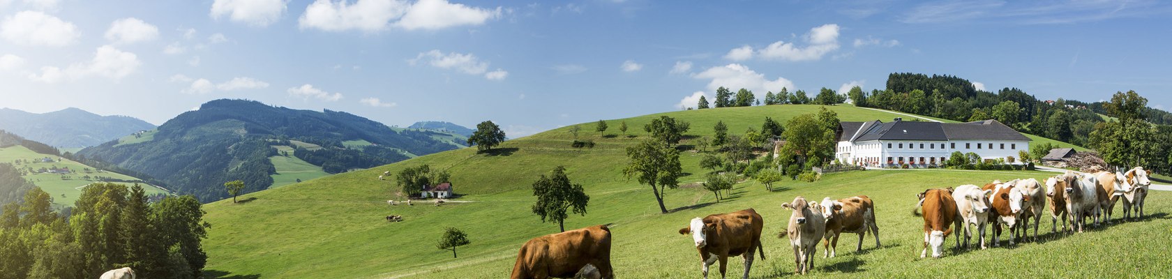 St. Georgen in der Klaus in Mostviertel, © Niederösterreich-Werbung/ M. Liebert