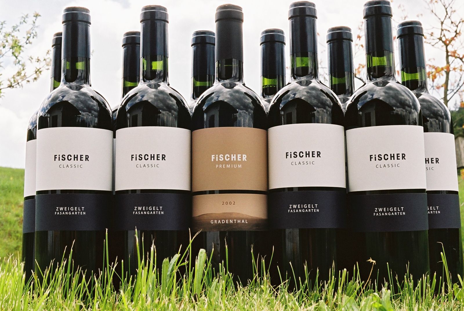 Several Fischer wine bottles are standing in the grass.