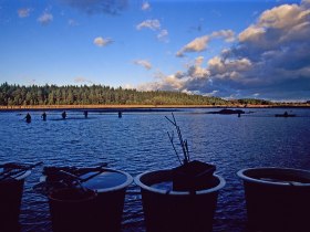 Bruneiteich Heidenreichstein, &copy; &copy; Waldviertel Tourismus, Reinhard Mandl