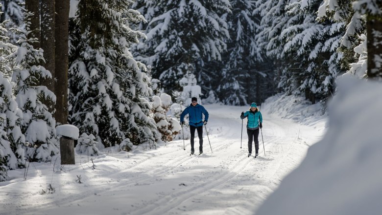Two people cross-country skiing on a snow-covered forest path.