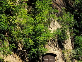 Gro&szlig;weikersdorf, &copy; Weinviertel Tourismus GmbH/Mandl