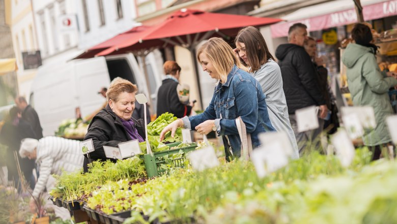 Waidhofen an der Ybbs weekly market, © Dominik Stixenberger