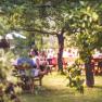 People sitting in the garden of a wine tavern, surrounded by trees and plants.