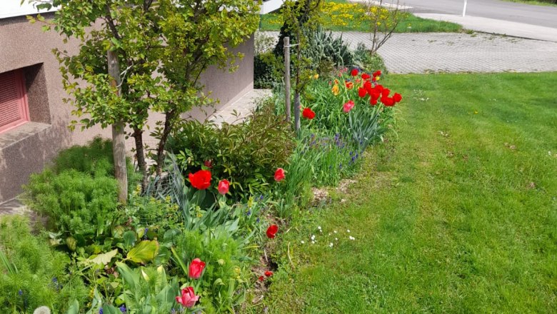 House by the stream, © Haus am Bach House by the stream, © Haus am Bach