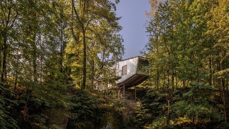 Modern tree house in a forest that is reflected in a peaceful pond.