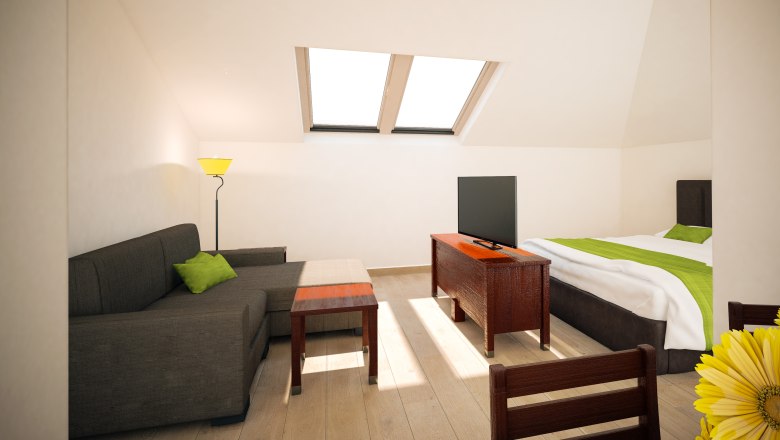 Bright apartment with skylights, sofa, bed, TV and dining table.