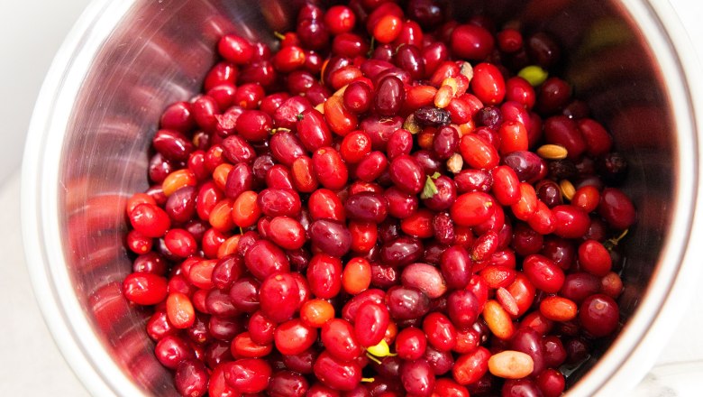 Organic farm Schlangenreith, &copy; Theo Kust