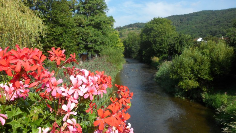 River with colorful flowers in the foreground and wooded hills in the background.