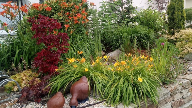 A colorful front garden with flowers and decorations.