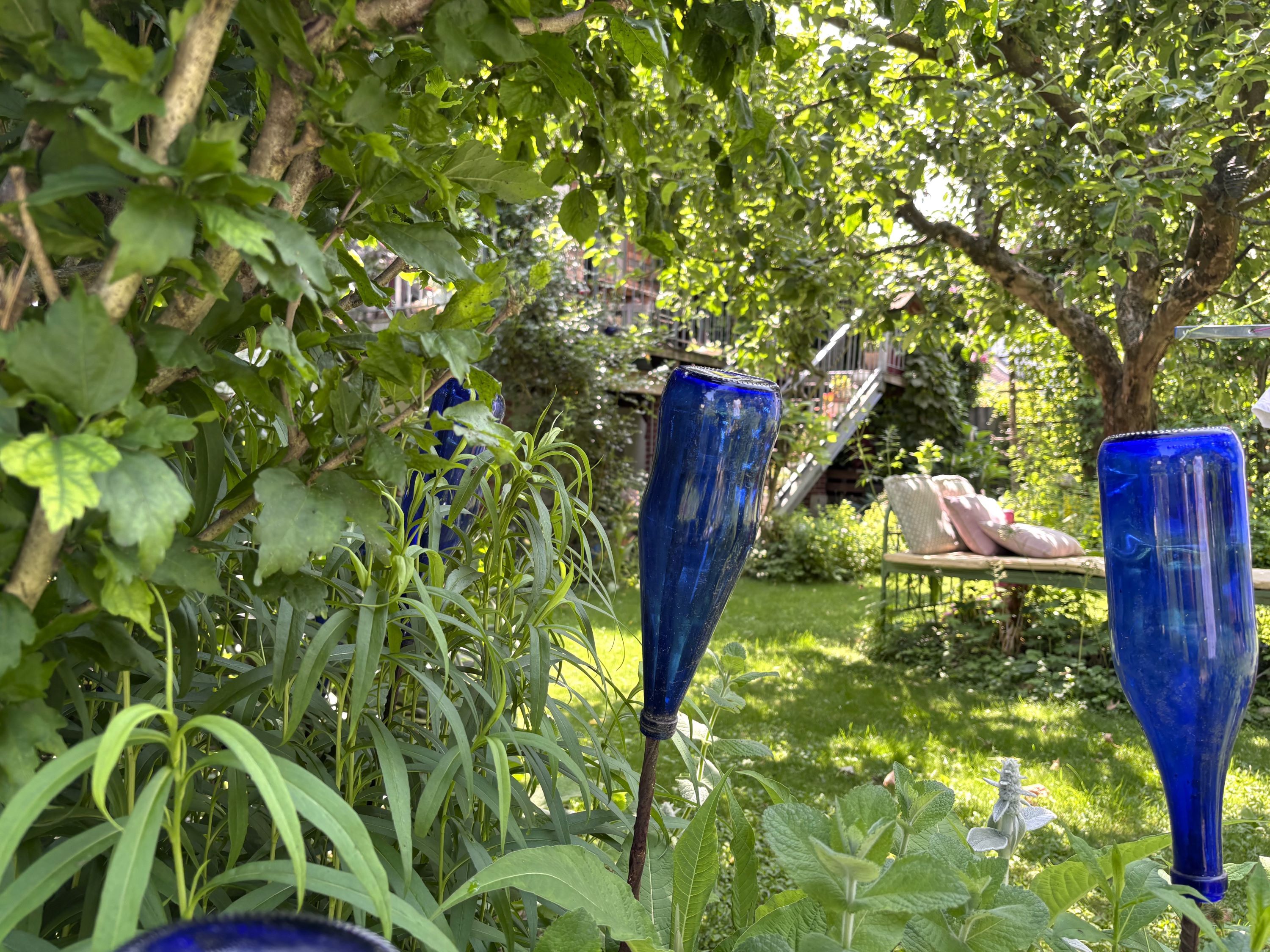 Garden with blue bottles on sticks and a bench in the background.