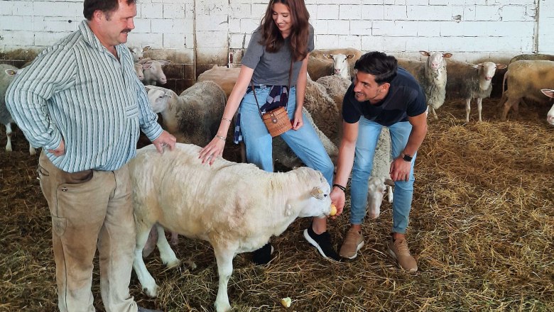 Visit to the Raser sheep cheese farm, Pachfurth, &copy; Donau Nieder&ouml;sterreich, Neubauer