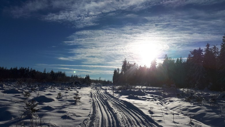 Cross-country skiing on the Nebelstein, &copy; Ferienhaus Angel, Fotograf Heidi Angel