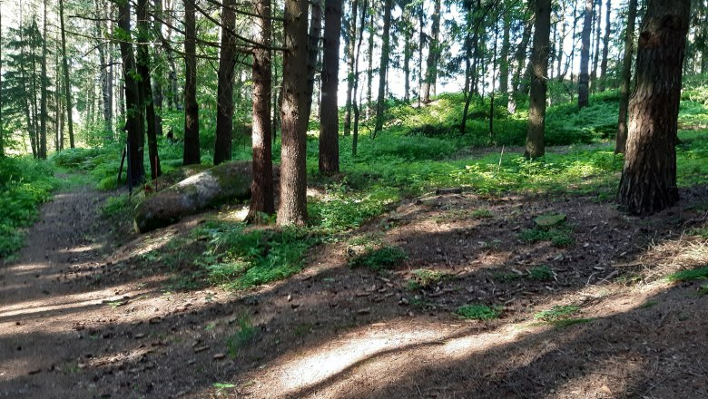 Surroundings, &copy; Ferienhaus Leopold