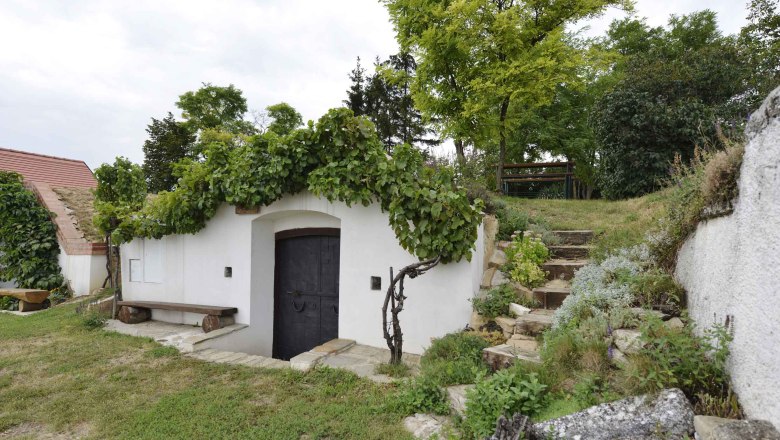 Wine cellar in Prellenkirchen with green roof and stone steps.