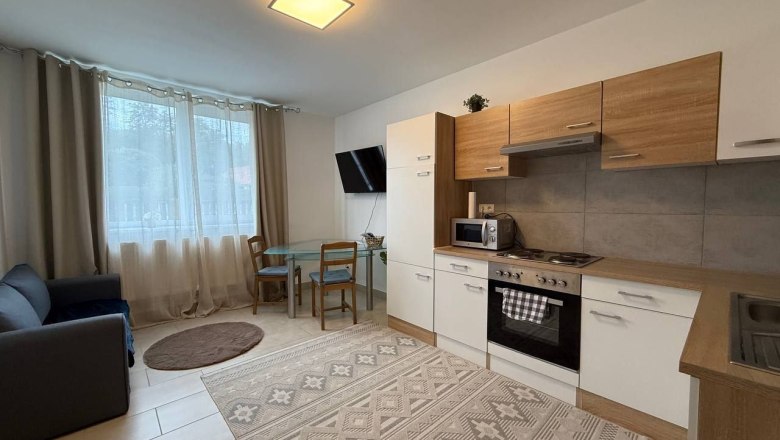 Modern furnished apartment with kitchen, dining table and sofa.