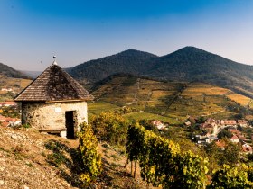 Tausendeimerberg, © Wachau-Nibelungengau-Kremstal