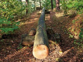 Holztelefon beim Opferstein, &copy; Braun Gottfried