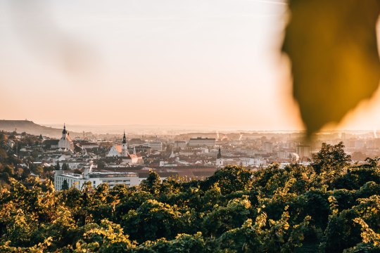 The colourful autumn colours also make our cities shine., © Romeo Felsenreich