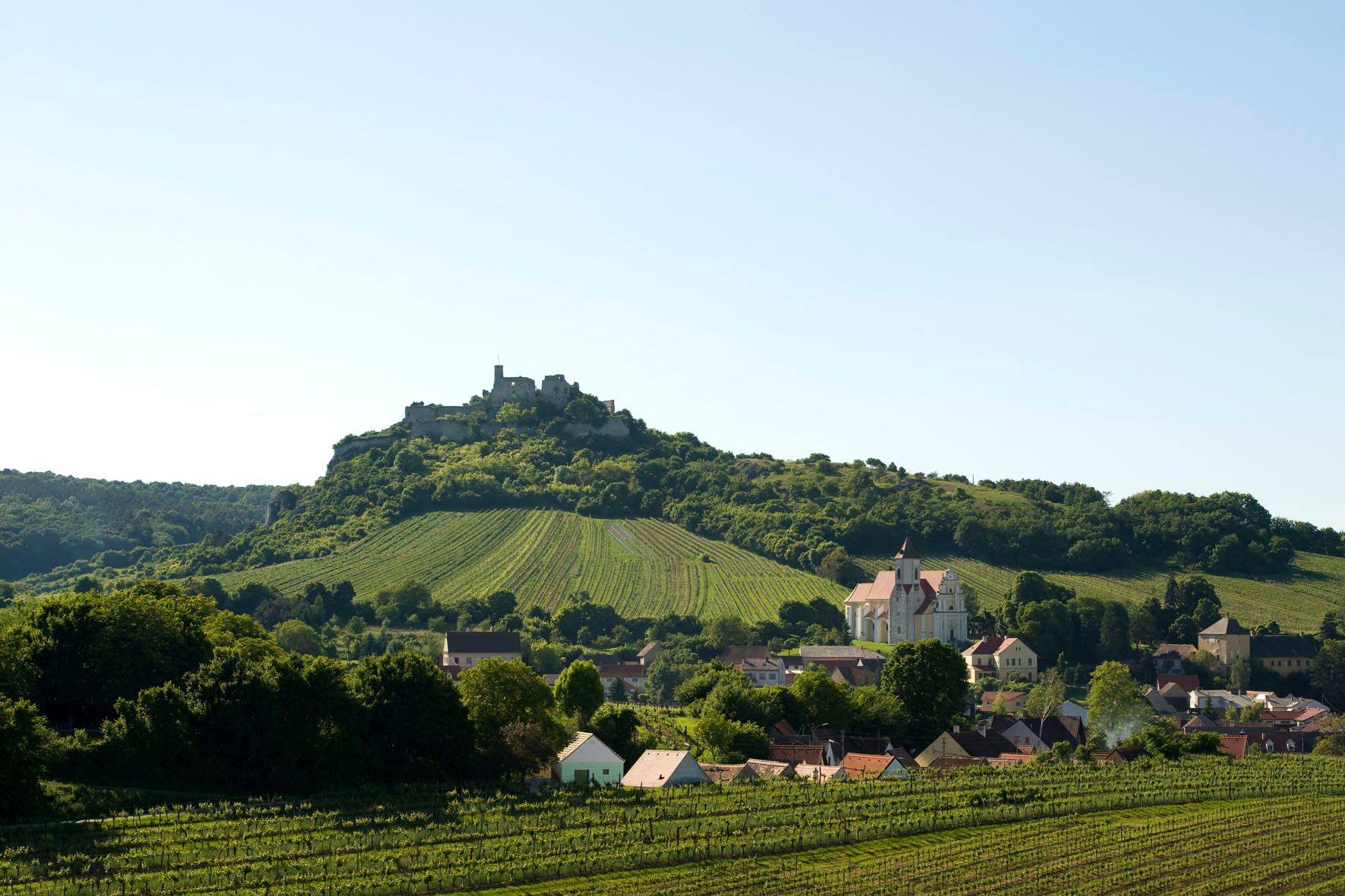 Landscape with castle on a hill, vineyards and village in the foreground.