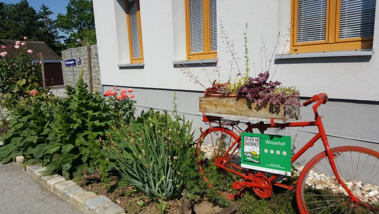 Wiesinger Winery, © Weinbau Wiesinger A red bicycle with a flower box stands in front of a building with a garden.