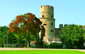 A medieval tower of Laa Castle with a tree in the foreground.