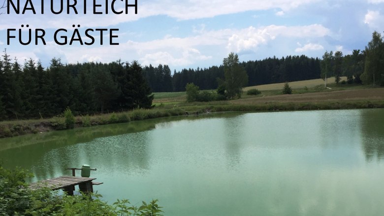 2-natural pond, &copy; Karl Kaufmann