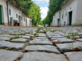 Radyweg, &copy; Vino Versum