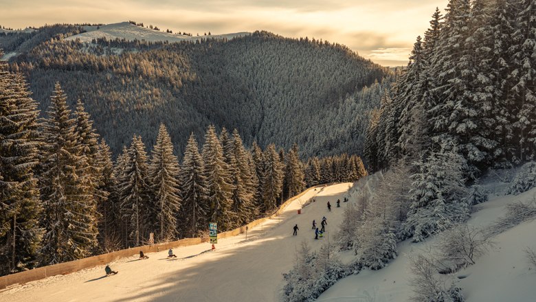 Winter landscape with toboggan run and people on the Semmering.
