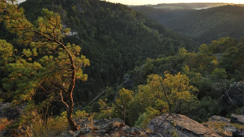 Wotansfels Krems Valley ("Kremstal Canyon" in German), © Matthias Schickhofer